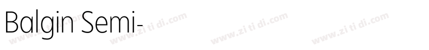Balgin Semi字体转换 Balgin Semi字体转换